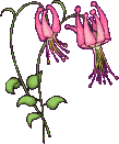 Naturaleza-162.gif