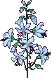 Naturaleza-164.gif