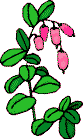 Naturaleza-170.gif