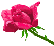 Naturaleza-172.gif