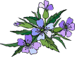 Naturaleza-174.gif