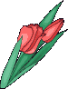 Naturaleza-175.gif