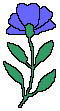 Naturaleza-178.gif