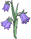 Naturaleza-179.gif