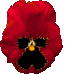 Naturaleza-180.gif