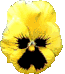 Naturaleza-181.gif