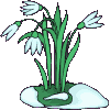 Naturaleza-182.gif