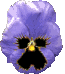 Naturaleza-184.gif