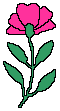 Naturaleza-189.gif