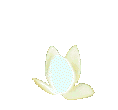 Naturaleza-193.gif