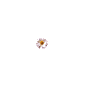 Naturaleza-194.gif