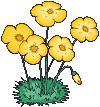 Naturaleza-196.gif
