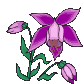 Naturaleza-197.gif