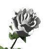 Naturaleza-201.gif
