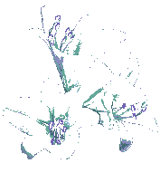 Naturaleza-202.gif