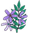 Naturaleza-205.gif