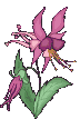 Naturaleza-210.gif