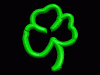 Naturaleza-405.gif