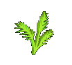 Naturaleza-425.gif