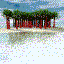 Naturaleza-Isla-21.gif