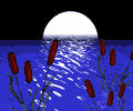 Mar-05.gif