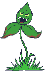 Naturaleza-497.gif