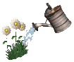 Naturaleza-507.gif