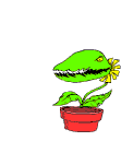 Naturaleza-509.gif