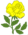 Rosas-amarillas-02.gif