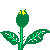 Rosas-amarillas-03.gif