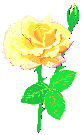 Rosas-amarillas-06.gif