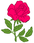 Rosas-rojas-02.gif