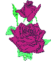 Rosas-04.gif