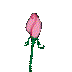 Rosas-07.gif