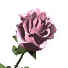 Rosas-21.gif