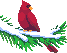Navidad-23.gif