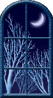 Ventanas-en-navidad-06.gif