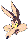 Coyote-y-Correcaminos-04.gif