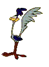 Coyote-y-Correcaminos-05.gif