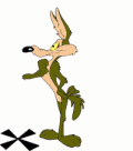 Coyote-y-Correcaminos-06.gif