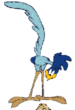 Coyote-y-Correcaminos-11.gif