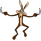 Coyote-y-Correcaminos-15.gif