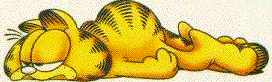 Garfield-26.gif