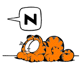Garfield-39.gif