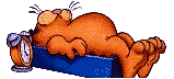 Garfield-42.gif