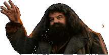 Harry-Potter-19.gif