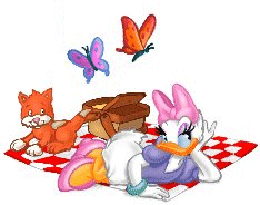 Pata-Daisy-29.gif
