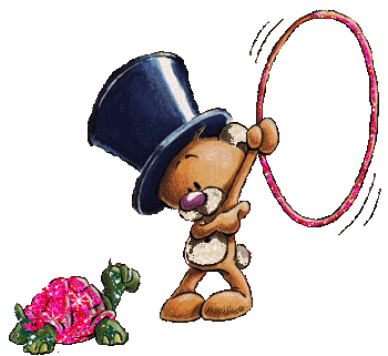 Pimboli-18.gif