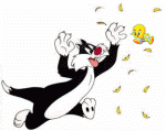 Silvestre-04.gif