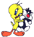 Silvestre-07.gif